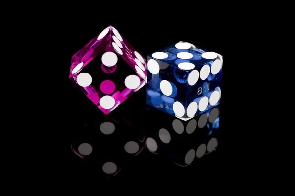 suntogel login slot tournament leaderboard interface